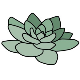 260x260 Drawing, Flower, Illustration, Transparent Png Image Clipart