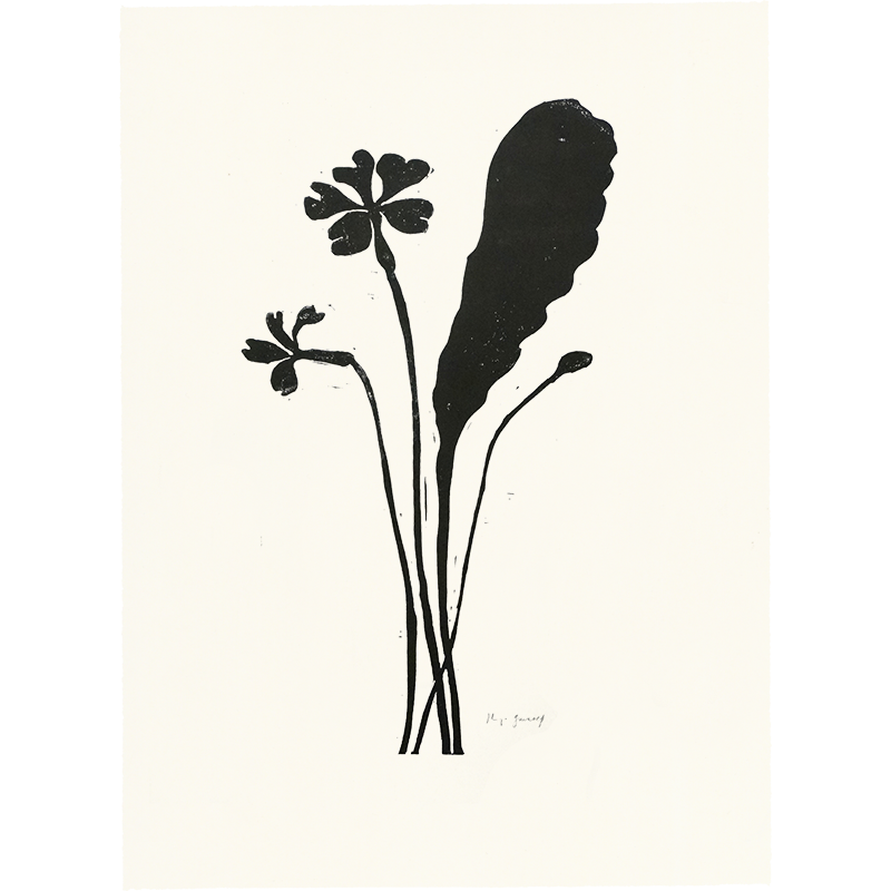 800x800 Primrose John Derian Company Inc