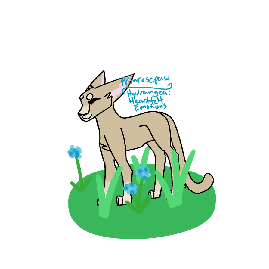 894x894 Primrosepaw Drawing Every Warrior