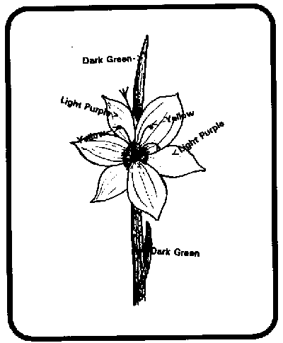 400x485 Umatilla National Forest Resource Management