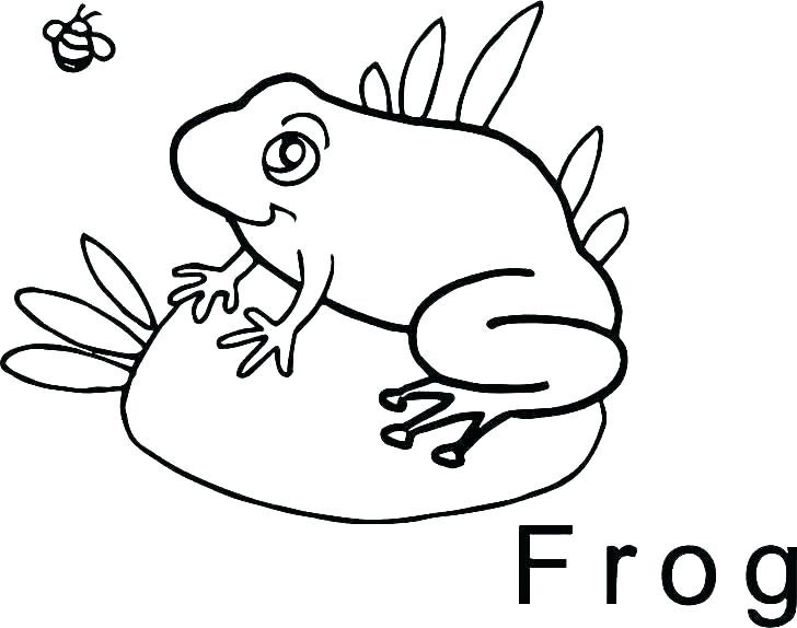 728x574 Frog Coloring Pages To Print The Frog Colori