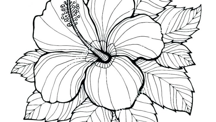 728x413 Coloring Pages For Kids Online Printable Animals Cartoon Flower