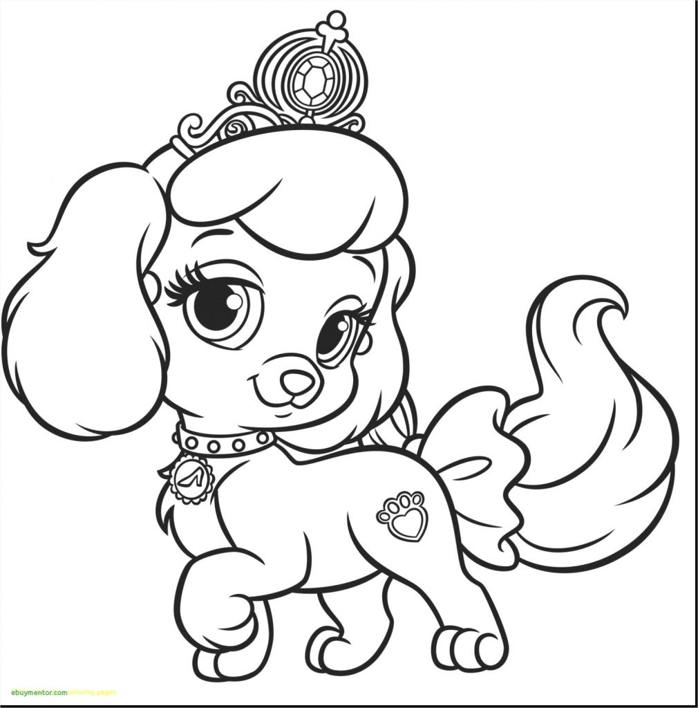 1010x1024 Princess To Draw Printable Coloring Pages