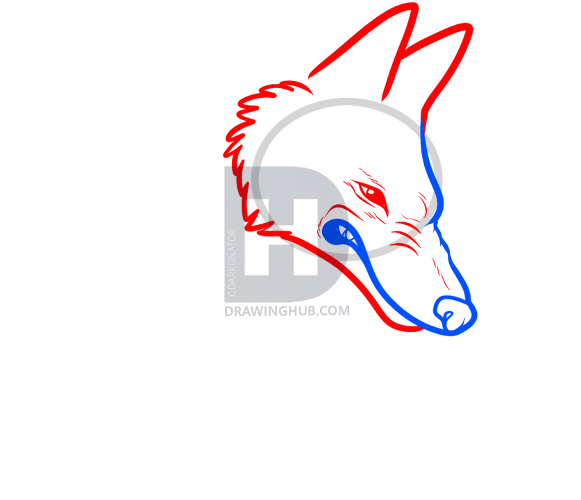 837x720 how to draw moro, princess mononoke, step