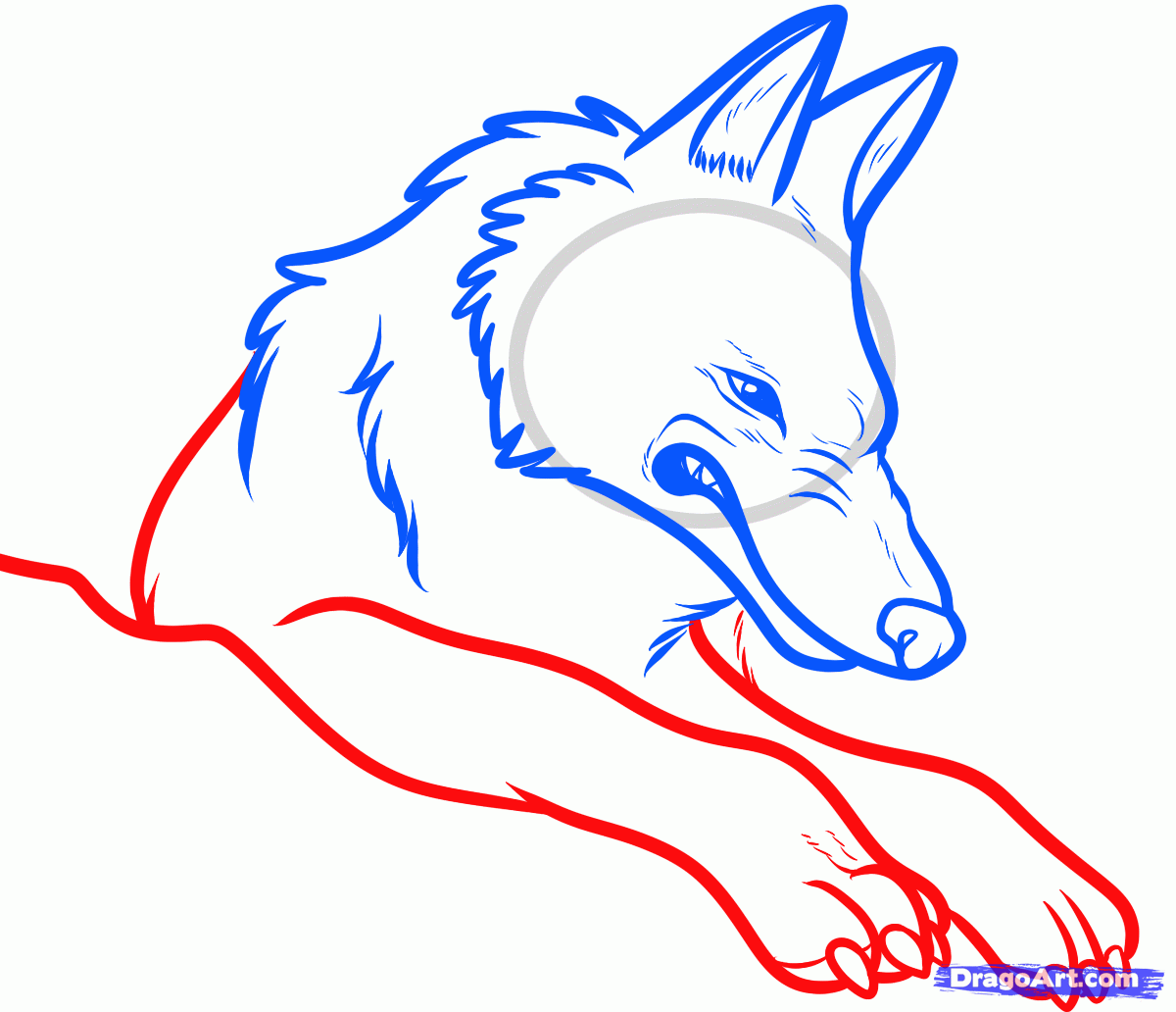 1200x1032 how to draw moro, princess mononoke, step