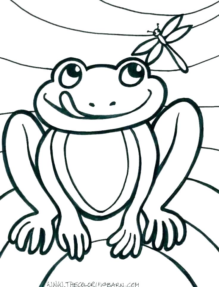 736x964 Free Printable Frog Coloring Pages