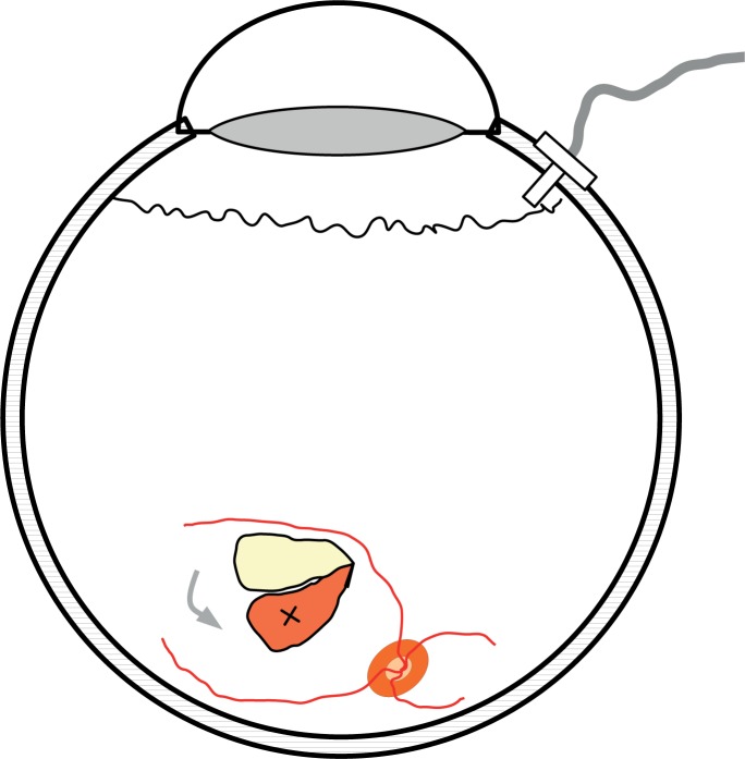 684x697 a drawing representing the principle of performing the full