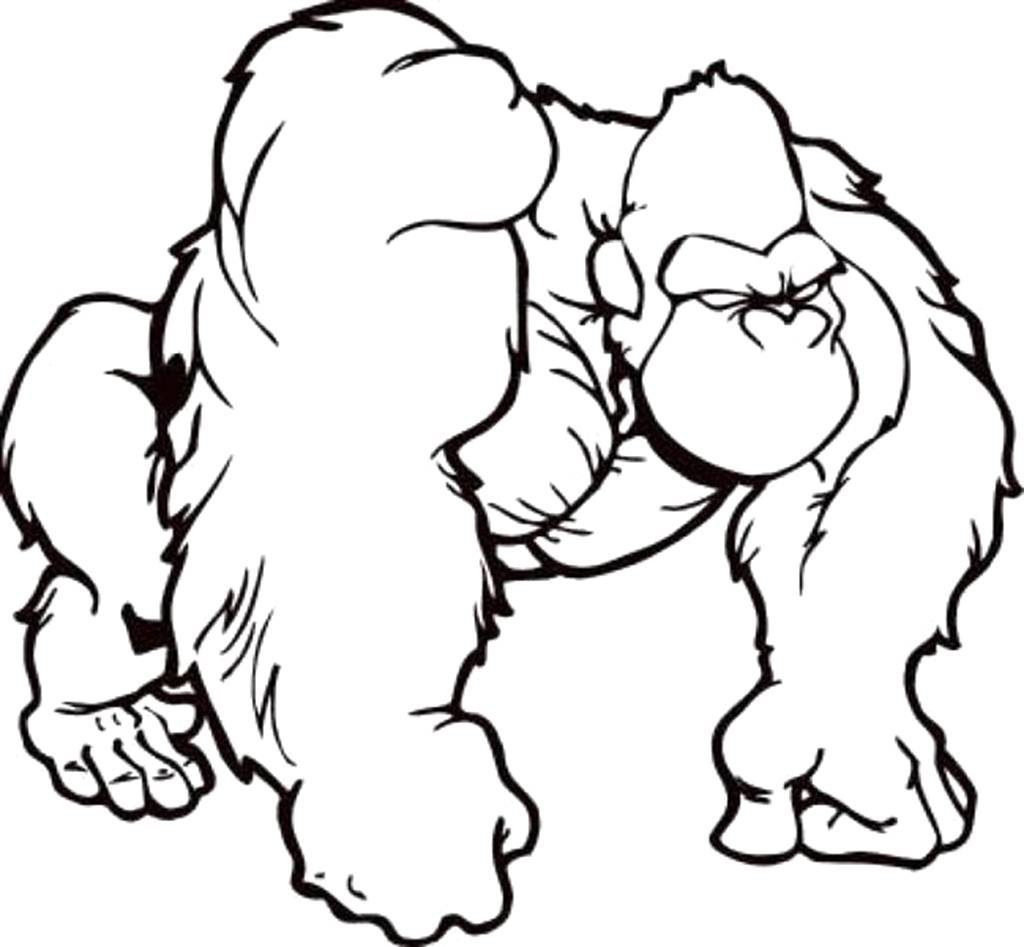1024x947 Drawing Of A Gorilla Powerful Ape Printable Coloring Pages Easy