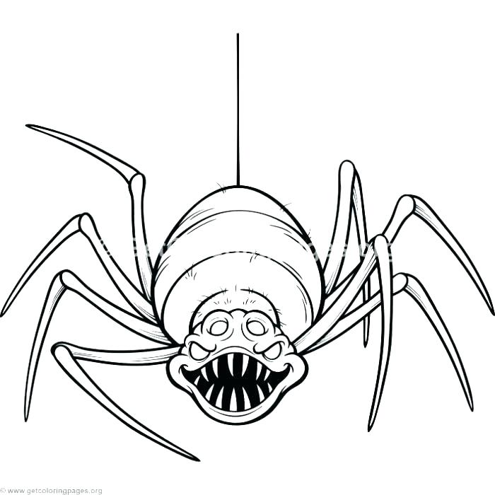 700x700 Halloween Spider Coloring Pages Spider Coloring Pages Scary