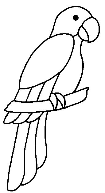 342x624 Parrot Printable Parrot Drawing Outline At Getdrawings Free