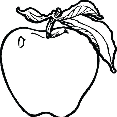 500x500 The Best Free Apple Drawing Images Download From Free Drawings