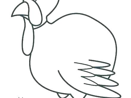 440x330 Turkey Color Blind