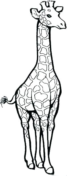 236x613 Printable Pictures Of Giraffes
