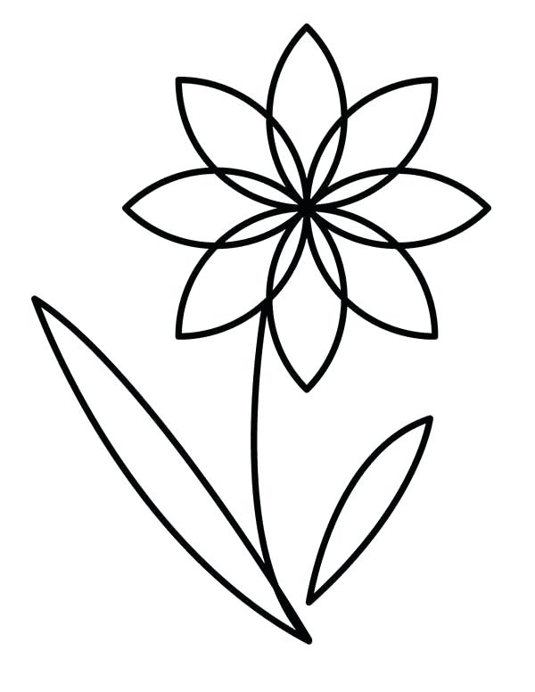 600x776 Flower Outline Coloring