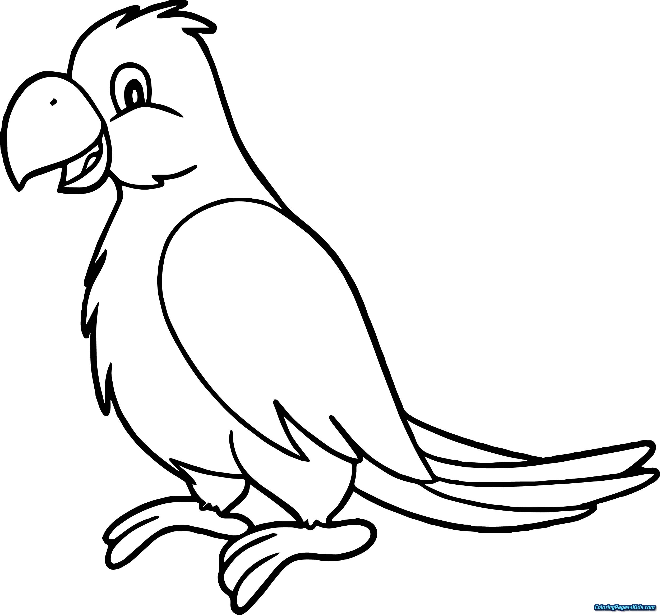 2497x2326 Pirate Parrot Drawing At Getdrawings Com Free For Personal Use