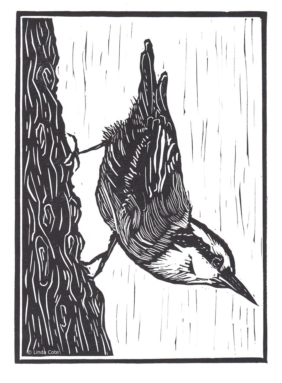 900x1221 little nuthatch linocut relief print hand pulled fine art etsy