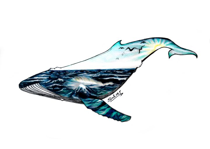 720x512 Lonely Whale