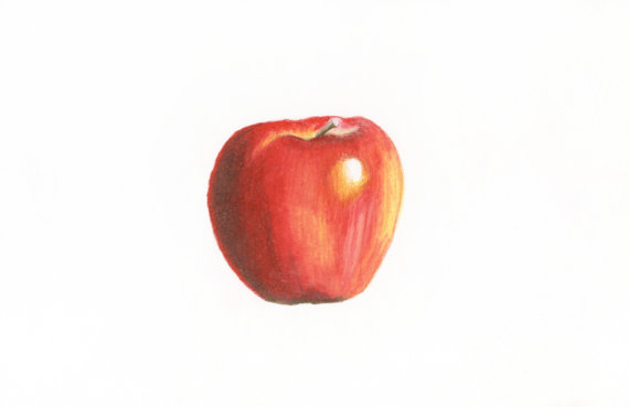 570x369 Apple Drawing