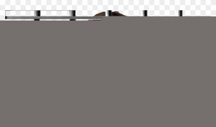 840x496 Prison Bars Clipart