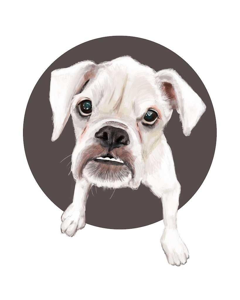 819x1024 Drawing Animals In Procreate Sktchy