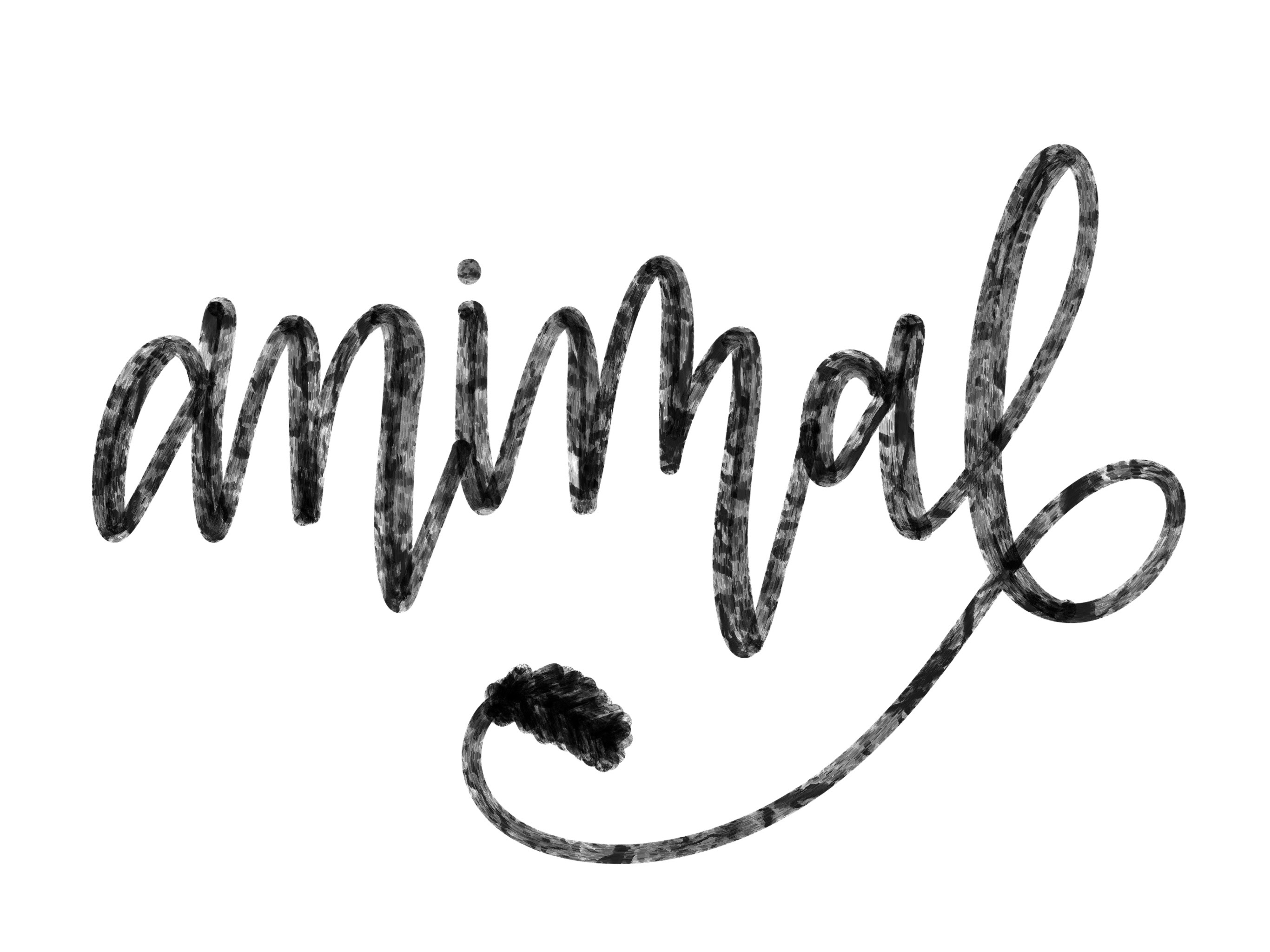 2732x2048 Animal Procreate Brush Wazz Publishing