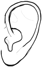 150x234 How To Draw Human Ears In Profile Step