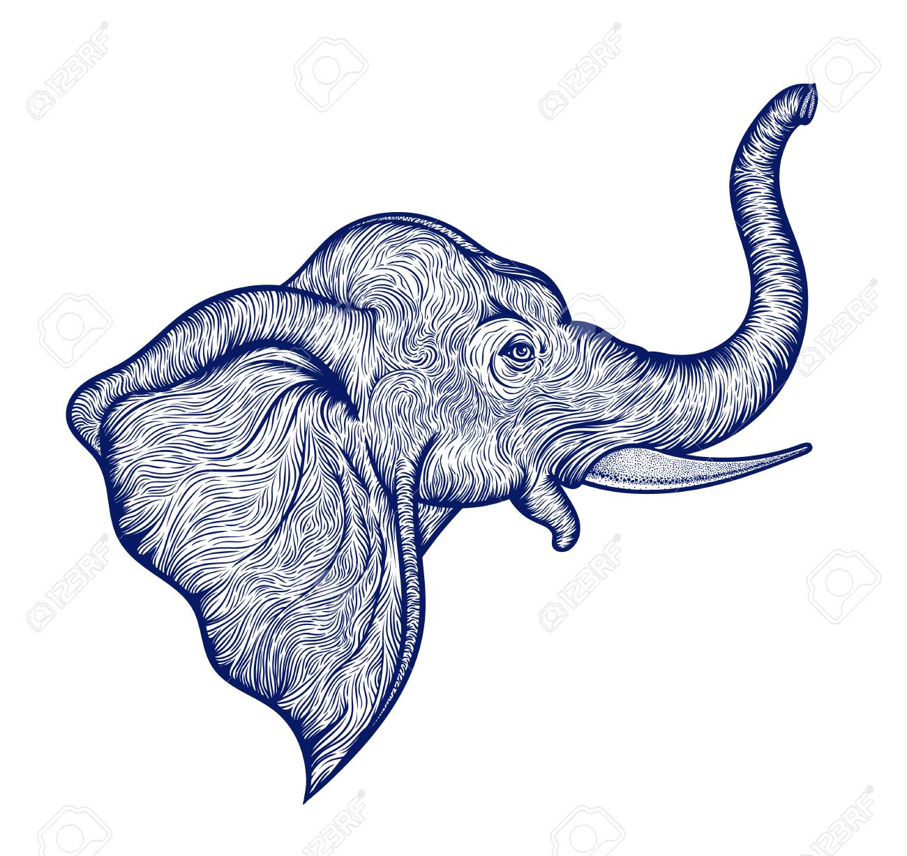 1300x1227 Huge Collection Of 'elephant Profile Drawing' Download More Than