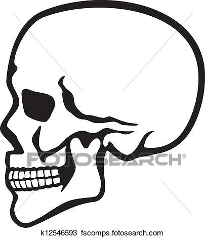 405x470 With Skull Profile Drawing