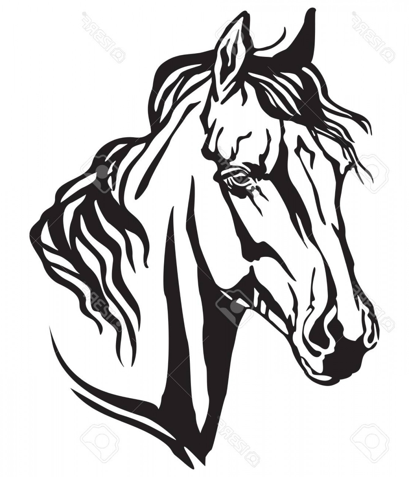 1336x1560 Photostock Vector Decorative Portrait In Profile Of Arabian Horse