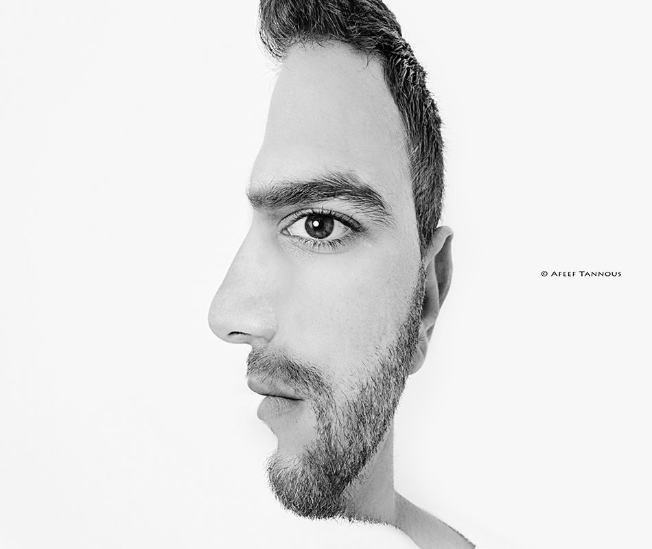 950x800 Straight On And Profile Blended For An Interestingly Confusing