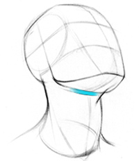 200x232 How To Draw The Neck