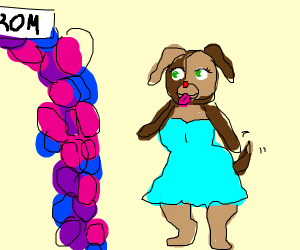 300x250 Dog Going To Prom