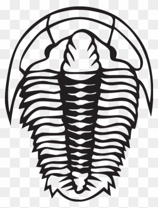 320x422 Prometheus Drawing Trilobite Clipart