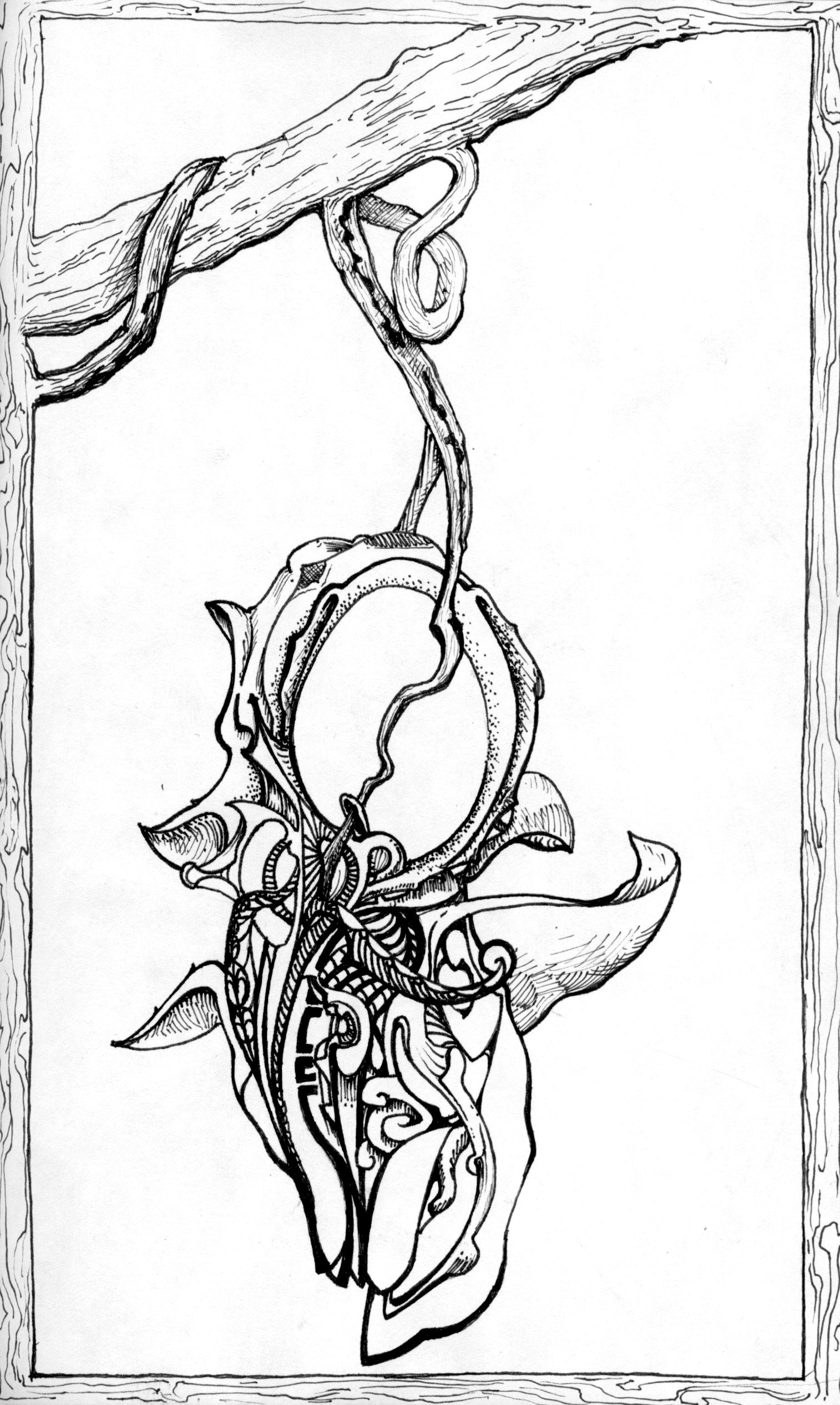 1514x2530 Showing Promise