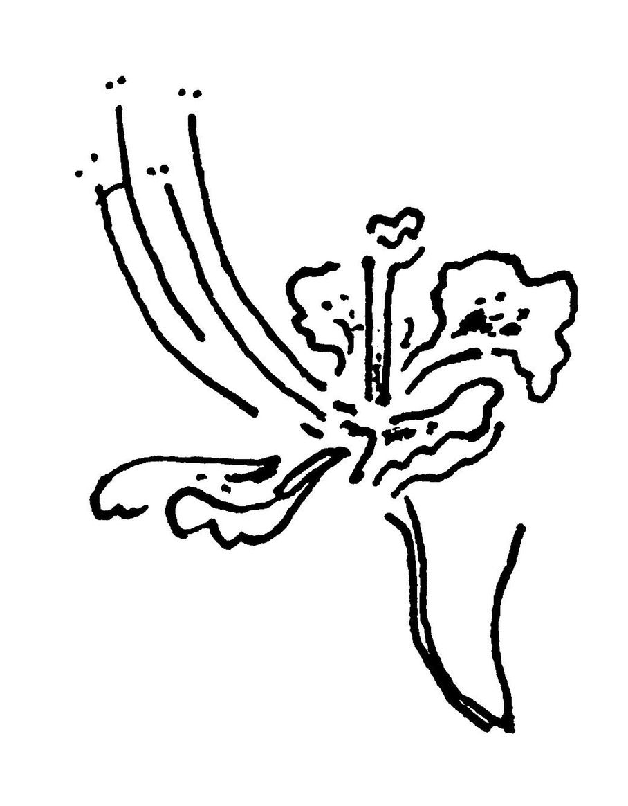 908x1164 Promotion Committee Drawings