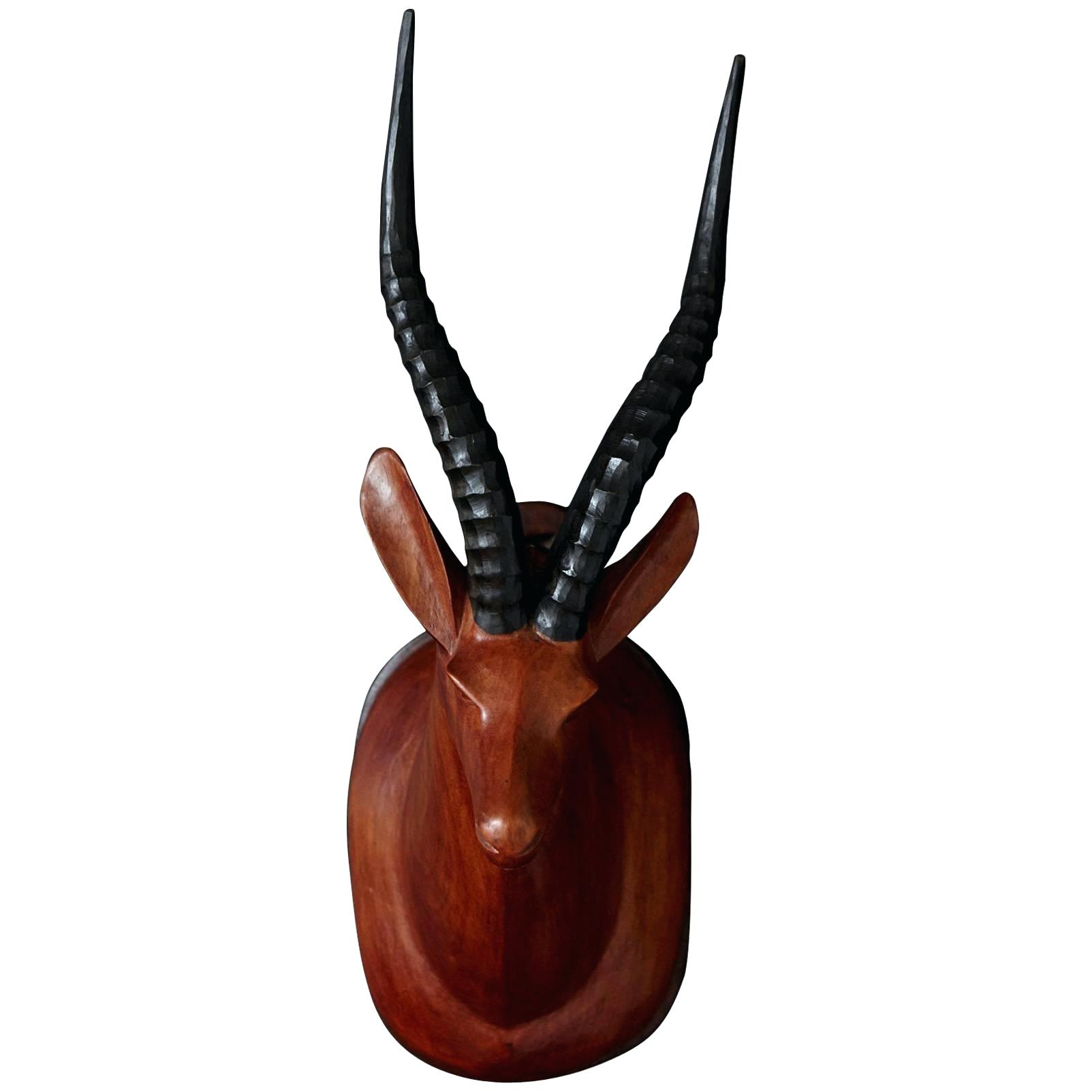 1603x1603 Antelope Head Pronghorn Mount For Sale African Headdress