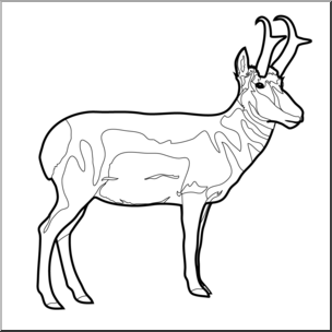 304x304 Clip Art Pronghorn Bampw I Abcteach