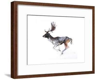 400x329 Evening Buck