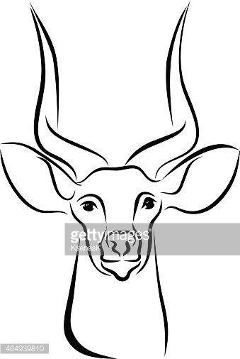 339x506 Head Of Kudu Antelope Ink Line Art Stock Vectors