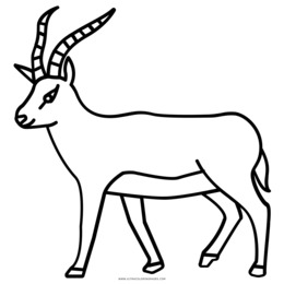 260x260 Antelope, Drawing, Wildlife, Transparent Png Image Clipart Free