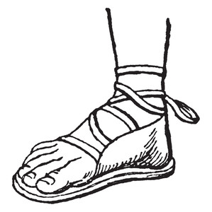 299x300 Greek Sandal Is A Protection For The Foot, Vintage Line Drawing