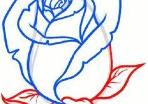 300x210 Picture Of A Rose Drawing Easy Easy To Draw Rose Beautiful Seymac