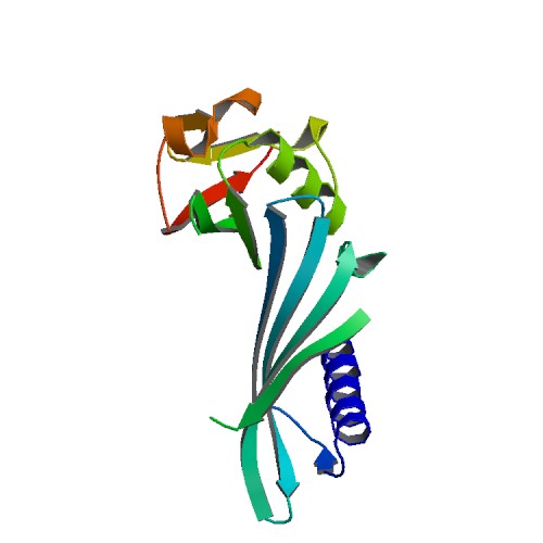 500x500 Rcsb Pdb