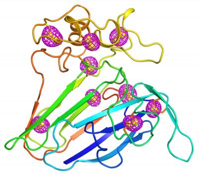 400x365 solving protein structures from tiny crystals with a new approach