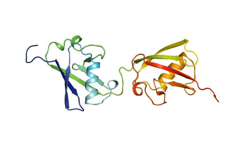 800x480 Team Successfully Analyzes The Structure Of The Protein