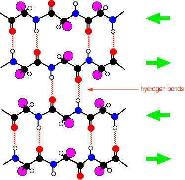 374x364 The Structure Of Proteins