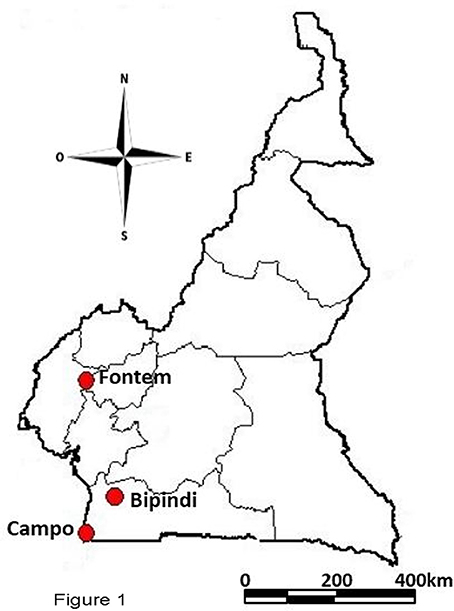 454x611 frontiers intestinal bacterial communities of trypanosome