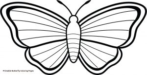 300x154 Genuine Butterflies Images Color Butterfly Drawings Art Ideas