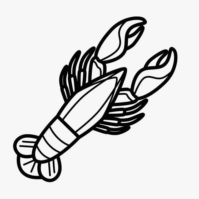 650x651 Line Drawing Marine Life Decorative Elements Image