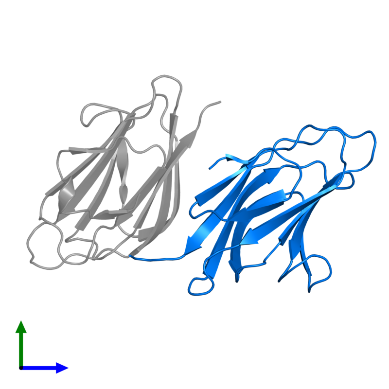 800x800 Pdb Gallery Protein Data Bank In Europe